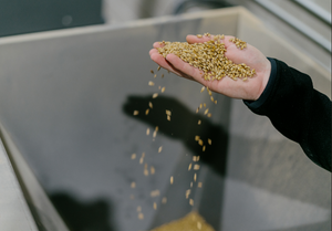 Dry Hopping