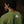Load image into Gallery viewer, Green T-shirt by Sober Carpenter