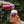 Load image into Gallery viewer, Raspberry Sour - 12 x 473ml