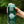 Load image into Gallery viewer, West Coast IPA - 12 x 473ml