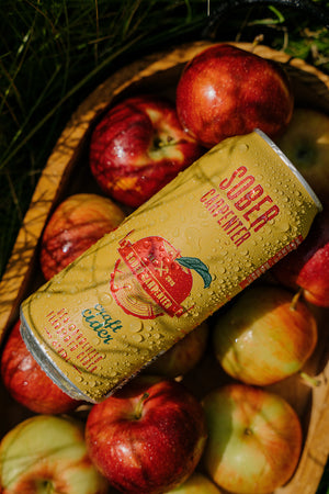 Craft Cider - 12 x 16 oz