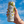 PINA COLADA - 4 x 355ml