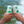 Load image into Gallery viewer, Session IPA - 12 x 473ml
